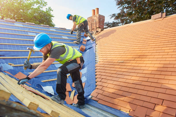 Best Sheet Metal Roofing  in Neodesha, KS